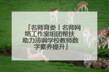 名师育娄丨名师网络工作室组团帮扶 助力薄弱学校教师数字素养提升