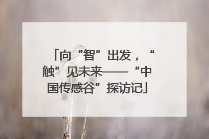 向“智”出发，“触”见未来——“中国传感谷”探访记