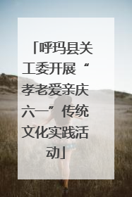 呼玛县关工委开展“孝老爱亲庆六一”传统文化实践活动