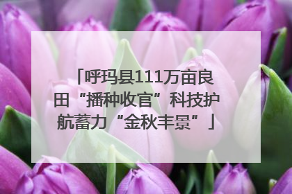 呼玛县111万亩良田“播种收官”科技护航蓄力“金秋丰景”