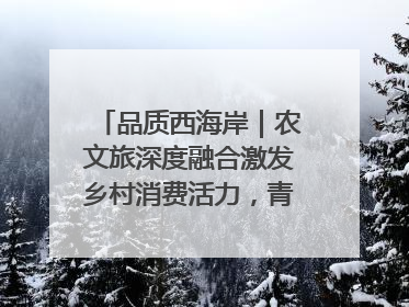 品质西海岸｜农文旅深度融合激发乡村消费活力，青岛西海岸新区的乡村振兴实践