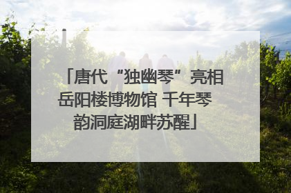 唐代“独幽琴”亮相岳阳楼博物馆 千年琴韵洞庭湖畔苏醒