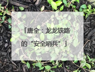 唐全：龙龙铁路的“安全哨兵”