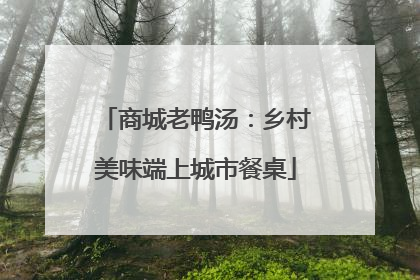 商城老鸭汤：乡村美味端上城市餐桌