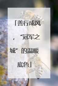善行成风，“冠军之城”的温暖底色