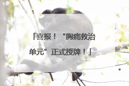 喜报！“胸痛救治单元”正式授牌！
