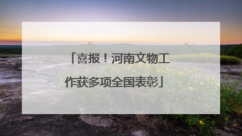 喜报！河南文物工作获多项全国表彰