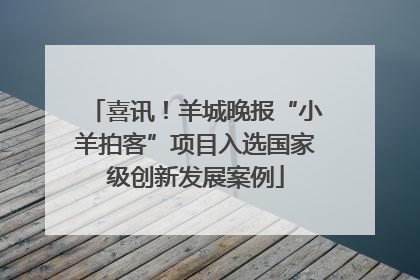 喜讯！羊城晚报“小羊拍客”项目入选国家级创新发展案例