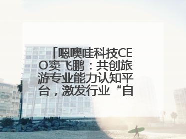 嗯噢哇科技CEO窦飞鹏：共创旅游专业能力认知平台，激发行业“自生长”力量