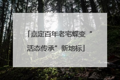 嘉定百年老宅蝶变“活态传承”新地标