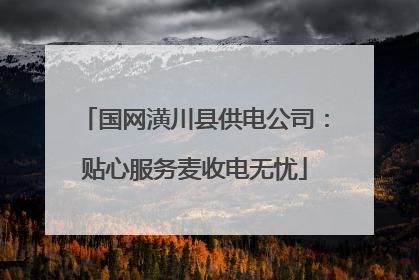 国网潢川县供电公司：贴心服务麦收电无忧
