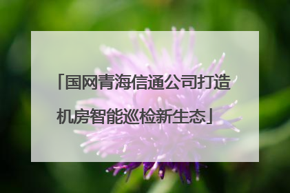 国网青海信通公司打造机房智能巡检新生态