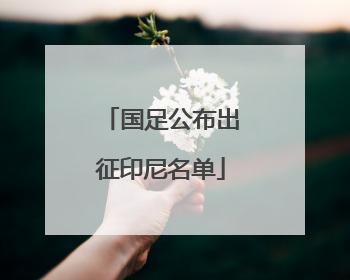国足公布出征印尼名单