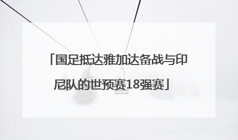国足抵达雅加达备战与印尼队的世预赛18强赛