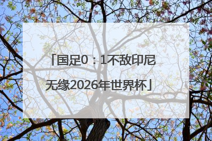 国足0：1不敌印尼 无缘2026年世界杯