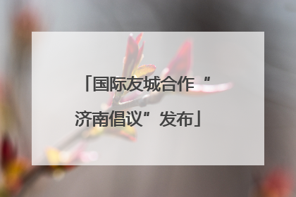 国际友城合作“济南倡议”发布