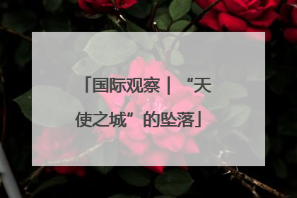 国际观察｜“天使之城”的坠落