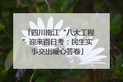 四川南江“八大工程”迎来百日考：民生实事交出暖心答卷