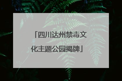 四川达州禁毒文化主题公园揭牌