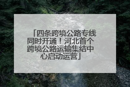 四条跨境公路专线同时开通！河北首个跨境公路运输集结中心启动运营