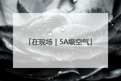 在现场｜5A级空气