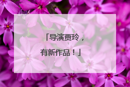 导演贾玲，有新作品！