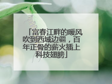 富春江畔的暖风吹到西域边疆，百年正骨的薪火插上科技翅膀