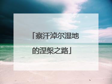 察汗淖尔湿地的涅槃之路