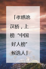 孝感池汉桥，上榜“中国好人榜”候选人