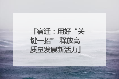 宿迁：用好“关键一招” 释放高质量发展新活力