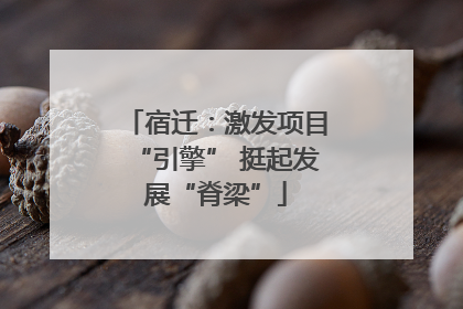 宿迁：激发项目“引擎” 挺起发展“脊梁”