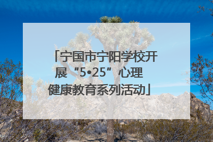 宁国市宁阳学校开展“5•25”心理健康教育系列活动