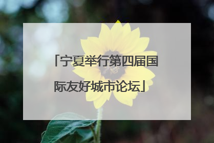 宁夏举行第四届国际友好城市论坛