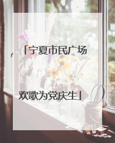宁夏市民广场欢歌为党庆生