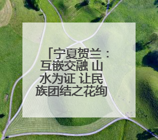 宁夏贺兰：互嵌交融 山水为证 让民族团结之花绚烂绽放