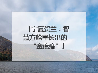 宁夏贺兰：智慧方舱里长出的“金疙瘩”
