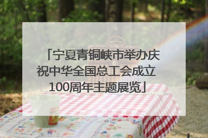 宁夏青铜峡市举办庆祝中华全国总工会成立100周年主题展览
