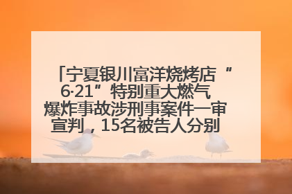 宁夏银川富洋烧烤店“6·21”特别重大燃气爆炸事故涉刑事案件一审宣判，15名被告人分别判刑六年至一年不等