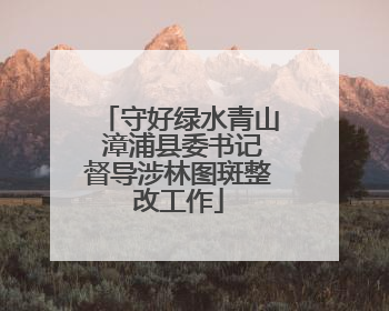 守好绿水青山 漳浦县委书记督导涉林图斑整改工作