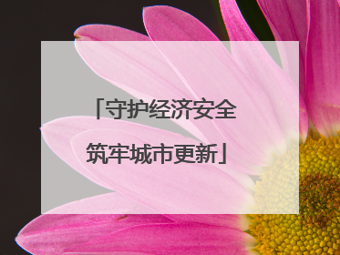 守护经济安全 筑牢城市更新