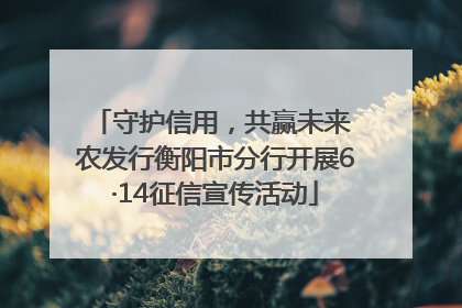 守护信用，共赢未来 农发行衡阳市分行开展6·14征信宣传活动