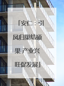 安仁：引凤归巢结硕果 产业兴旺促发展