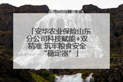 安华农业保险山东分公司科技赋能+双精准 筑牢粮食安全“稳定器”