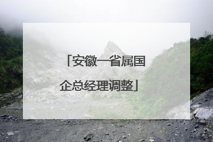 安徽一省属国企总经理调整