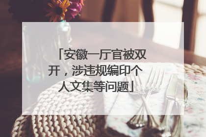 安徽一厅官被双开，涉违规编印个人文集等问题