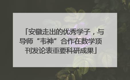 安徽走出的优秀学子，与导师“韦神”合作在数学顶刊发论表重要科研成果