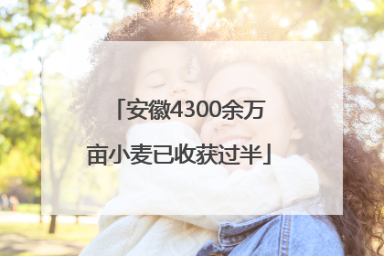 安徽4300余万亩小麦已收获过半