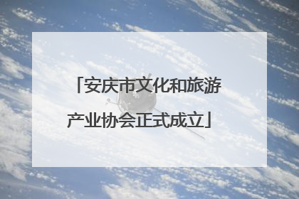 安庆市文化和旅游产业协会正式成立