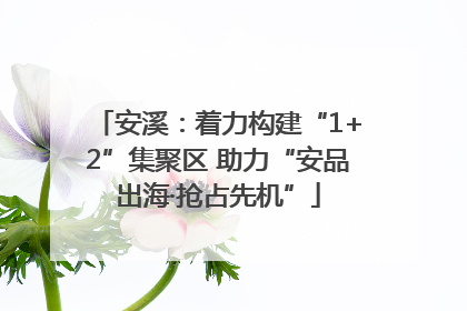 安溪：着力构建“1+2”集聚区 助力“安品出海·抢占先机”