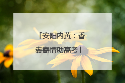 安阳内黄：香囊寄情助高考